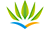 Air Cara�bes TX