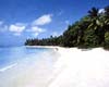 Cuba Roulette 4 *