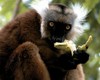 BravoClub Madagascar