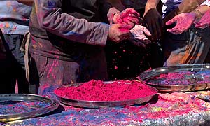 Holi - il festival indiano dei colori