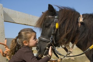 I pony, passione dei più piccoli
