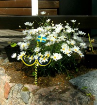 Un albero della cuccagna in miniatura