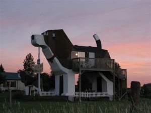 DogBarkPark _Idaho