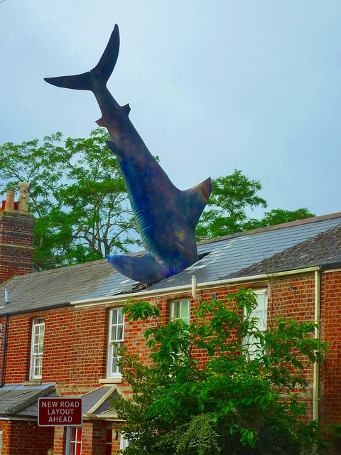 headington shark