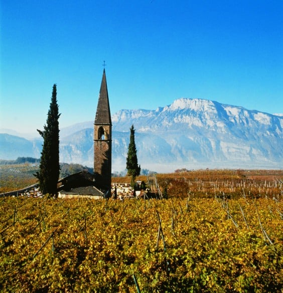 Trentino enogastronomico