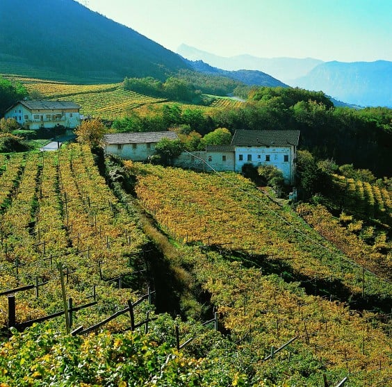 Trentino Trentodoc