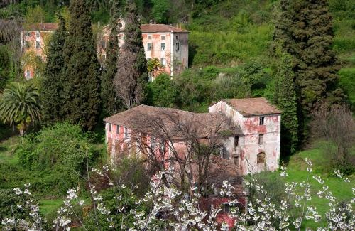 Villa Massoni