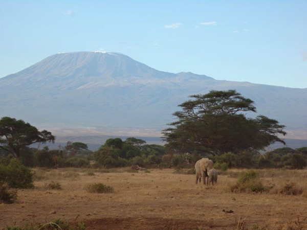 amboseli