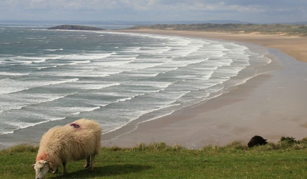 Rhossili Bay 