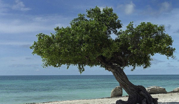 aruba eagle beach