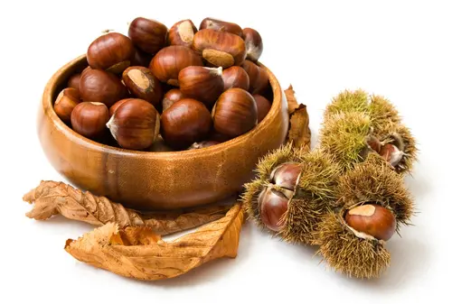Castagne, ricci e foglie d'autunno