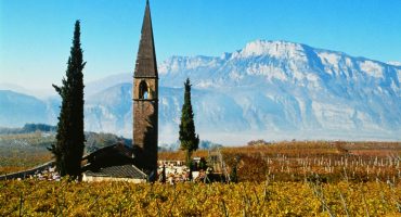 Il Trentino enogastronomico: un territorio ricco di storie da raccontare