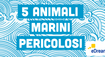 5 animali marini pericolosi: prevenzione e rimedi