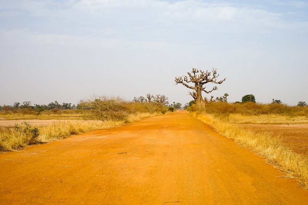 Deserto senegal