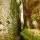 vie cave