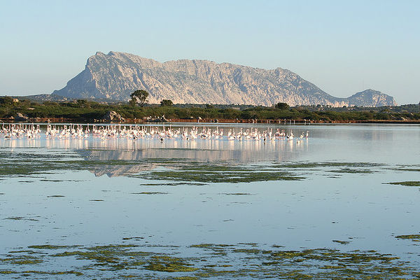 source: Gabryella/flickr