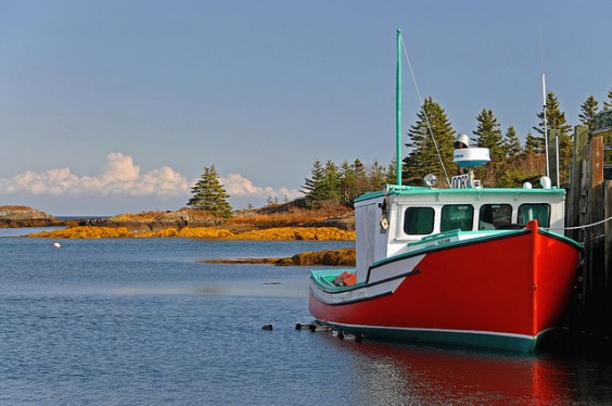 archer10 (Dennis)/flickr