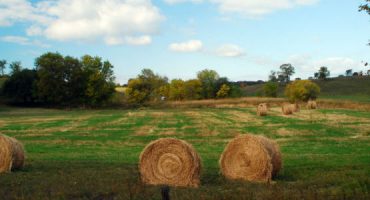 Sfumature di settembre