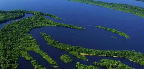 manaus foresta amazzonica