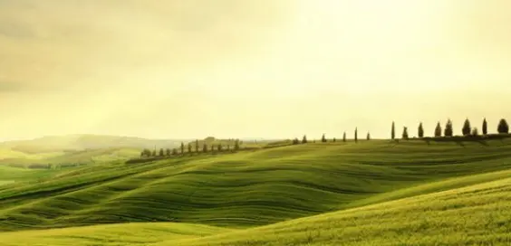 colline italia settembre