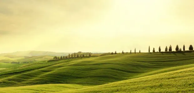 colline italia settembre
