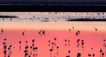 Natura, flamenco e shopping: cosa vedere durante un viaggio in Andalusia