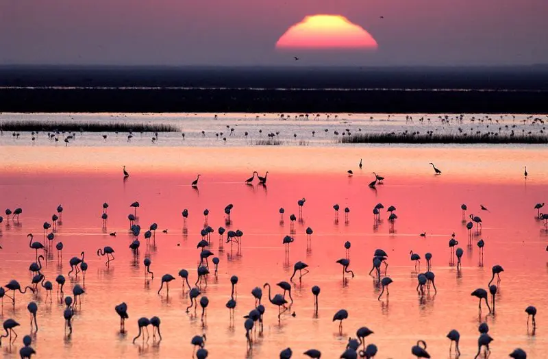 parco doñana andalusia