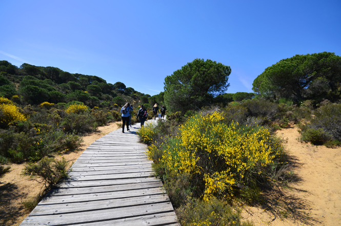 parco nazionale doñana andalusia