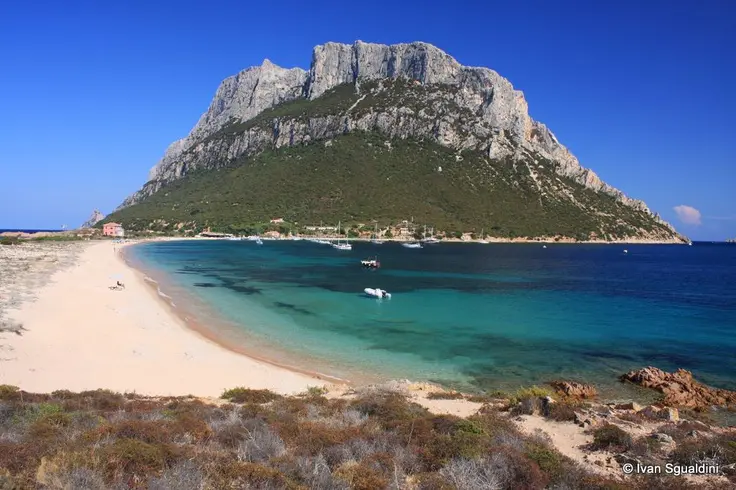 tavolara sardegna