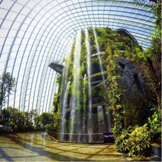 cloud forest singapore