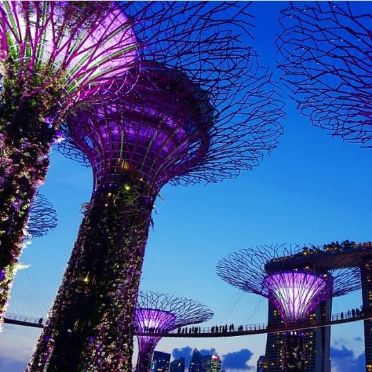 supertrees grove singapore