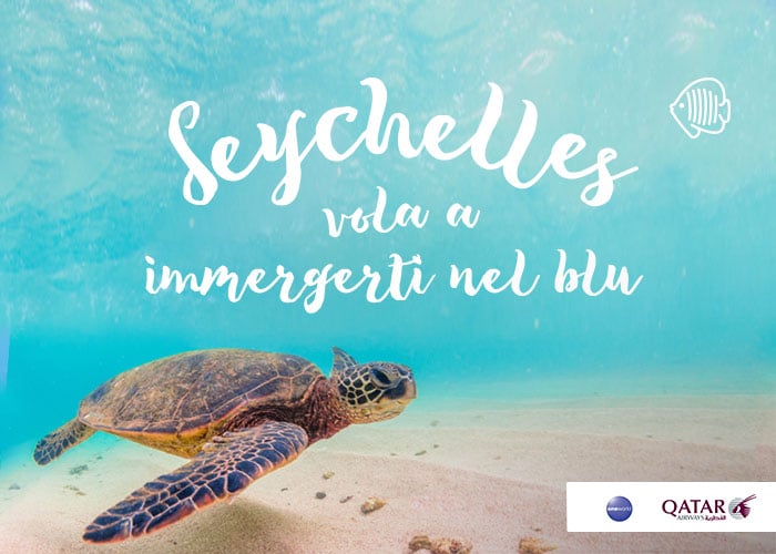 concorso volo seychelles
