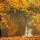 autunno edreams blog di viaggi