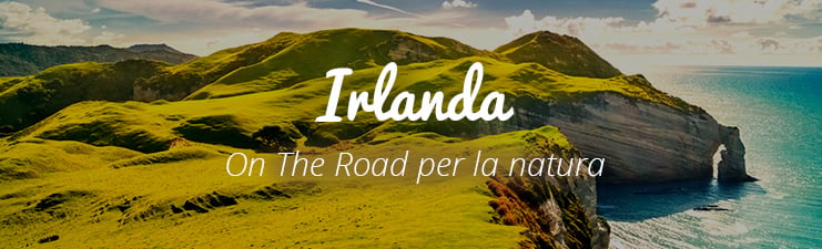 header-ireland