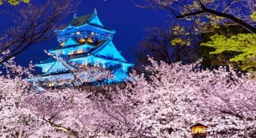 Giappone: ciliegi in fiore, dove e quando vederli durante l’hanami