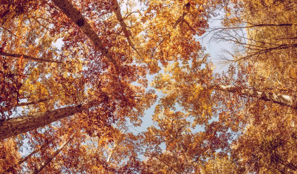 autunno