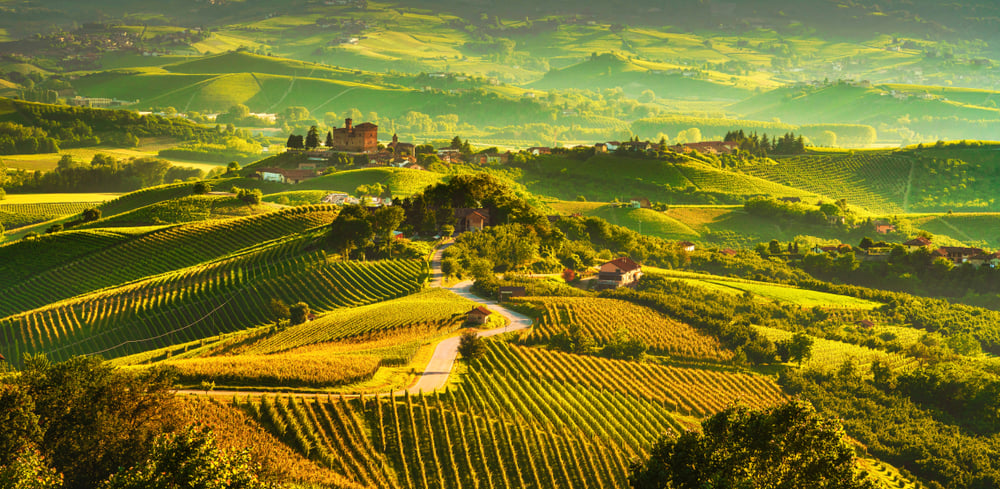 colline del Chianti