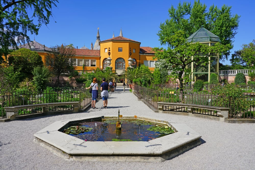 orto botanico di Padova