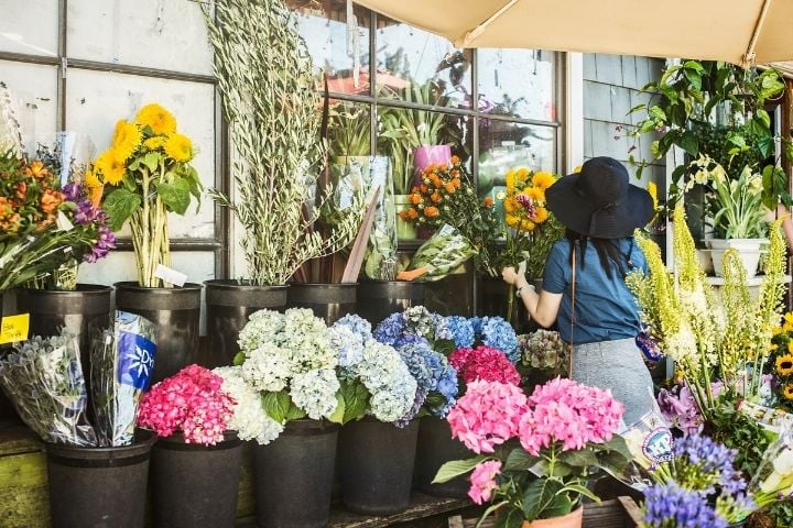 Mercato dei fiori di Parigi a Piazza Louis-Lépine