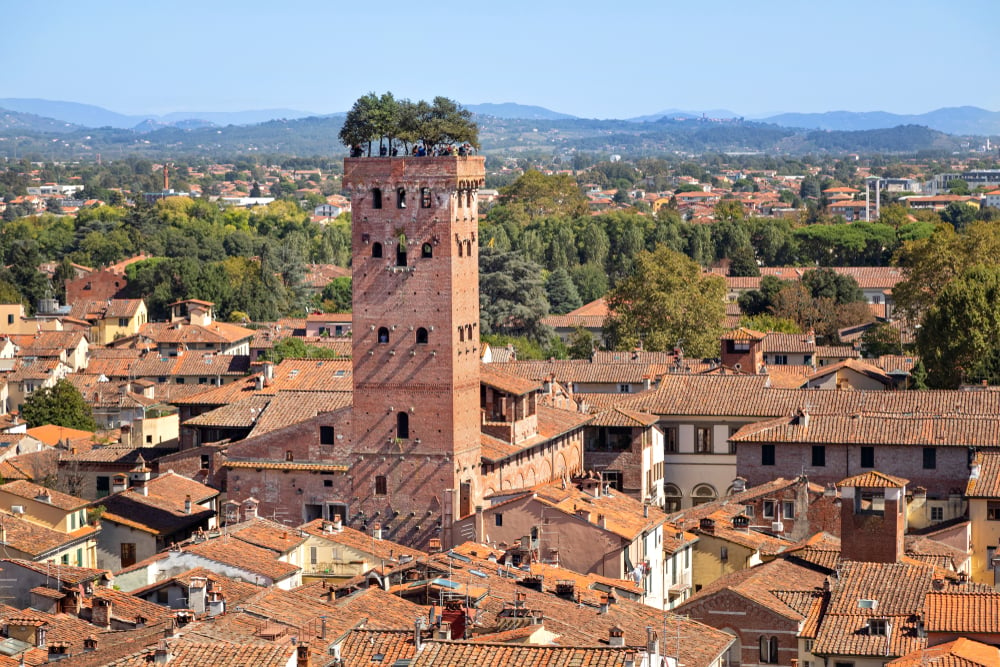 torre Guinigi Lucca
