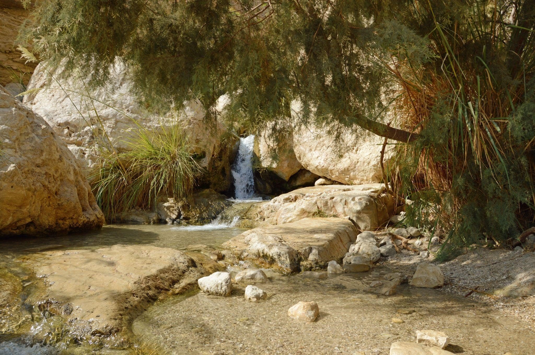 Le piscine naturali del Wadi Al Hidan
