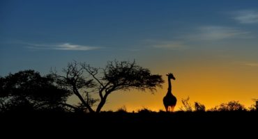 10 buoni motivi per visitare il Sudafrica