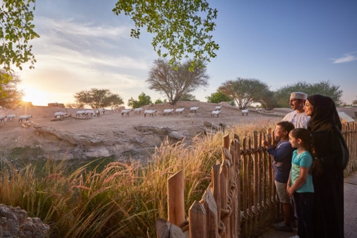 famiglia osserva la natura ad Abu Dhabi