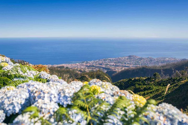 Cosa fare a Madeira? Panorama da un monte di Madeira