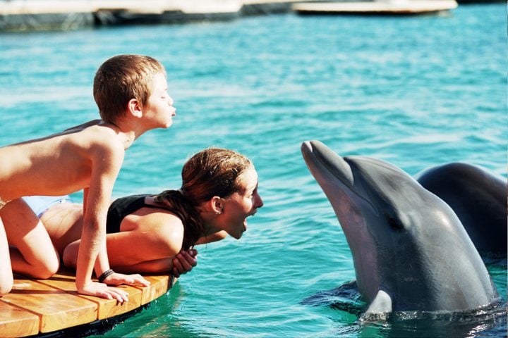 Bambini felici che giocano con un delfino, Eilat