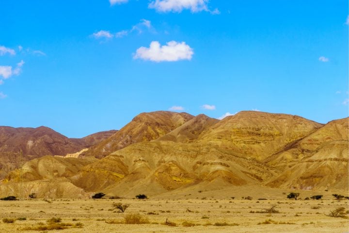 Deserto di Israele