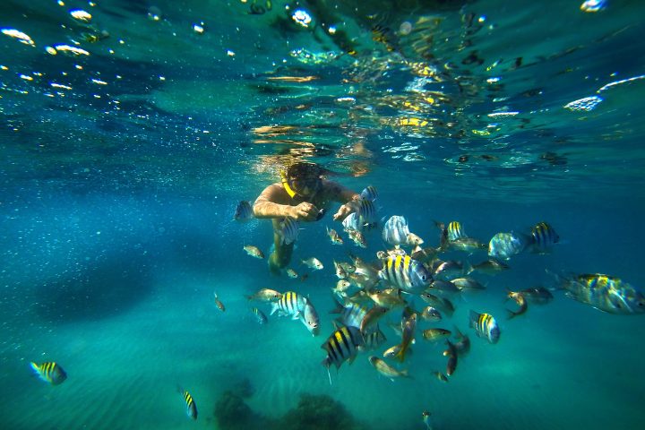 skydiving con un banco di pesci nelle piscine naturali a Maracajaú 