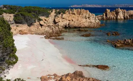 spiaggia rosa isola della maddalena