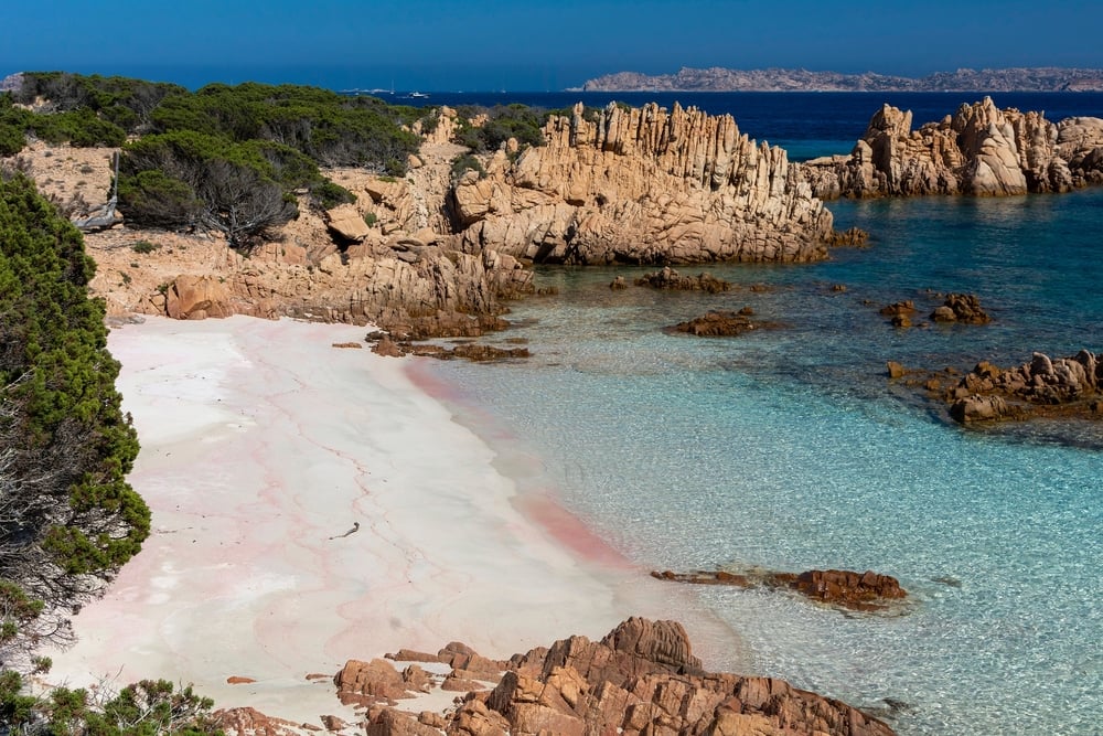 spiaggia rosa isola della maddalena