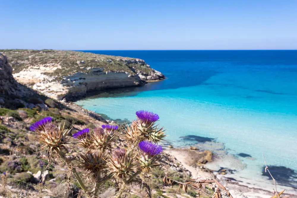 Estate a Lampedusa